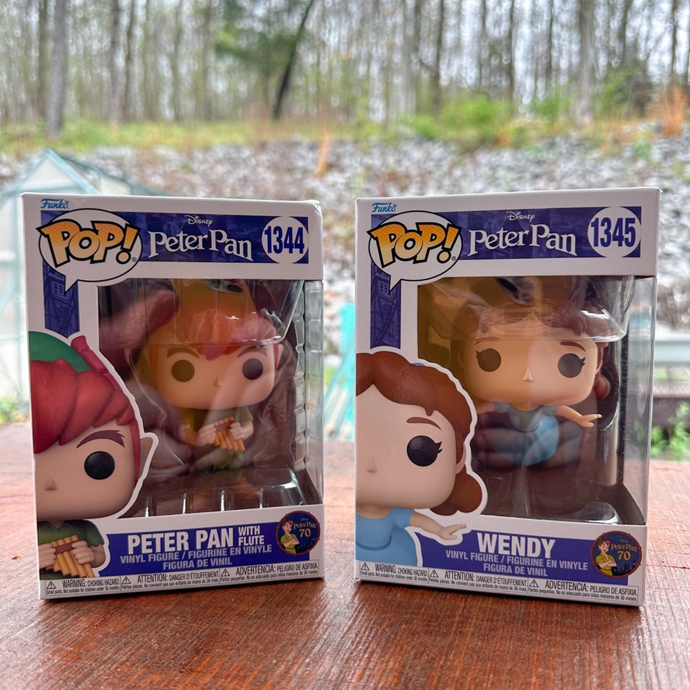 Funko Pop! Peter Pan and Wendy Vinyl Figures